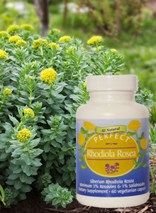 Perfect Rhodiola Rosea