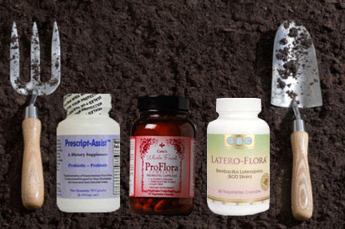 Best Probiotic Supplements